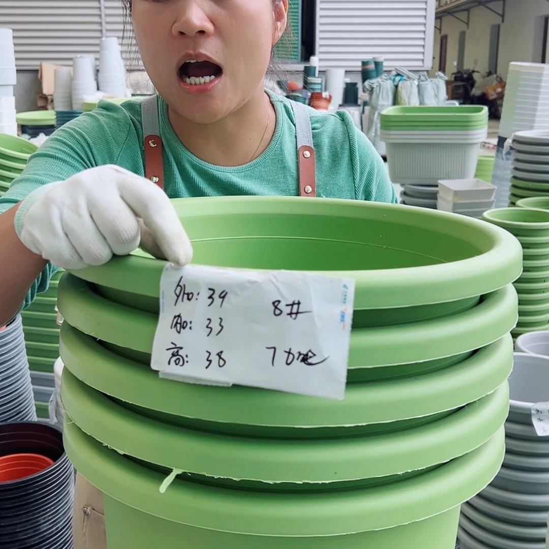 四季盆8#果绿色5个无托