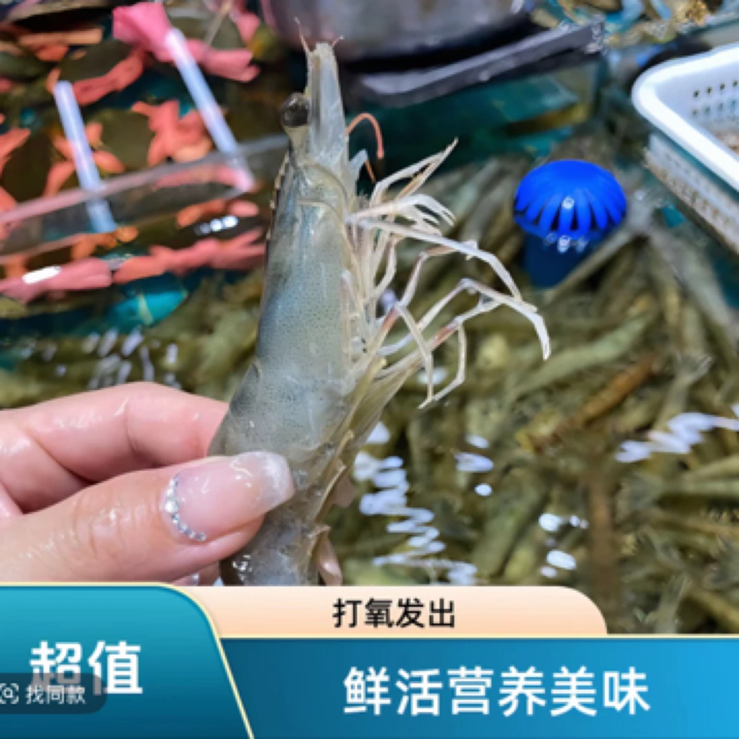 【鲜活基围虾★西安1小时到家】精选鲜活营养基围虾1斤