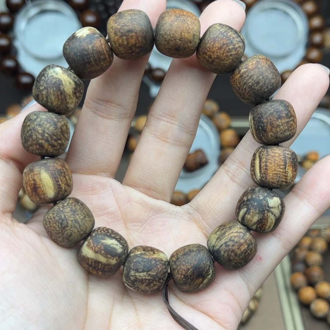 贡木印尼13/14火焰龙妖花