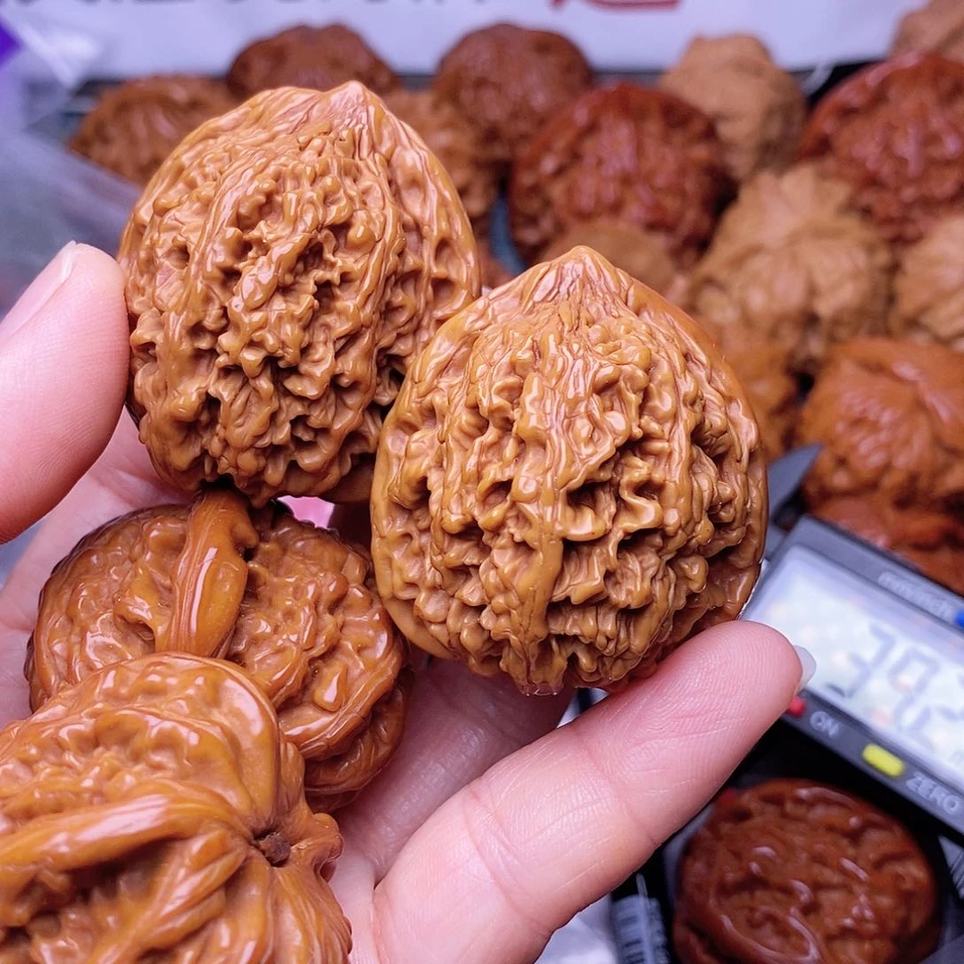 木质类满天星37。