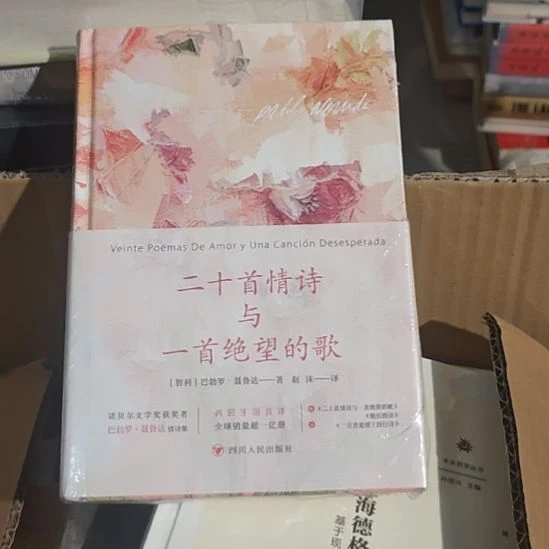 20首情诗与一首绝望的歌，一本经书。