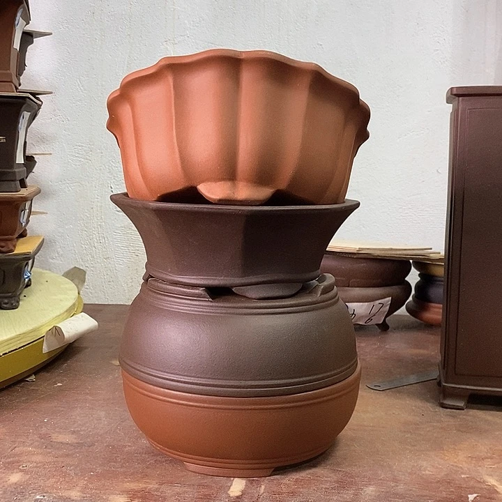 紫砂花盆今天下午