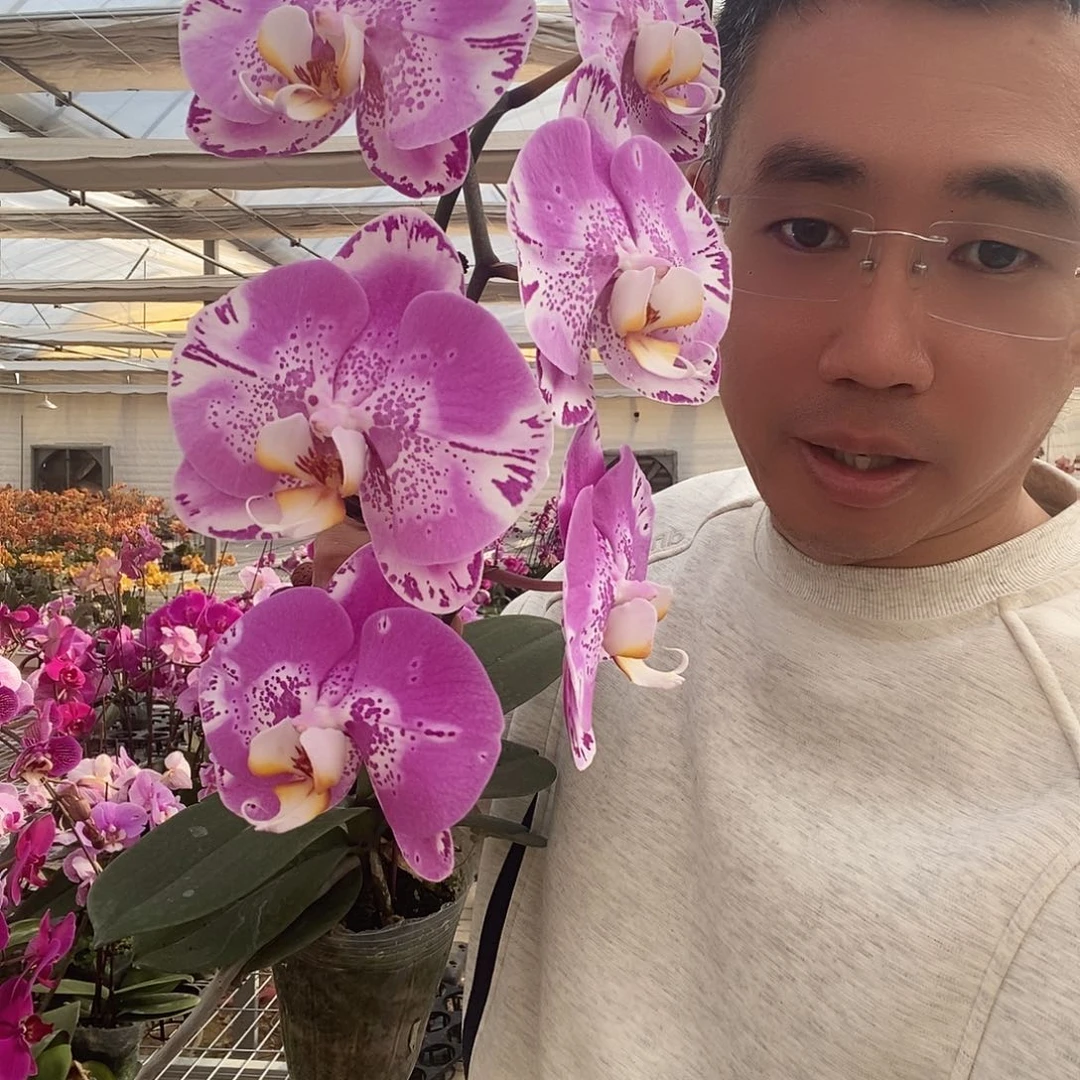 完全开放瑕疵藏宝图仅此1颗