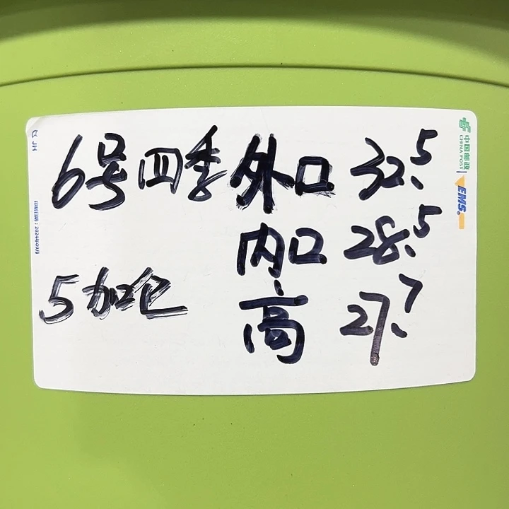 特价5号四季口32高28果绿无托5个