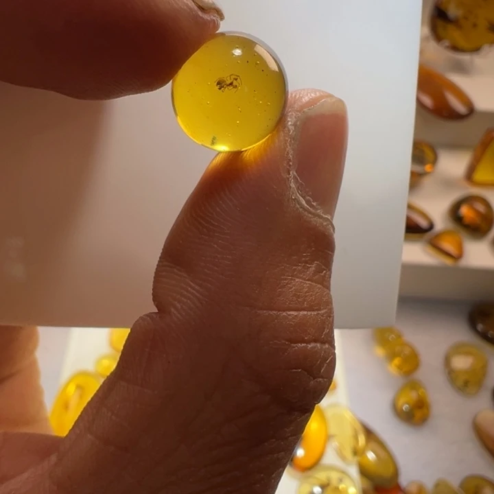 琥珀裸石未镶嵌堂**正缅甸琥珀虫珀标本