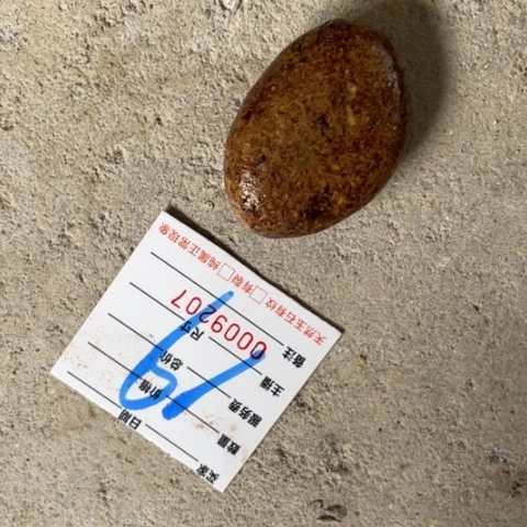 【闪购商品】蛇纹石玉未镶嵌珠宝奇石朽**香