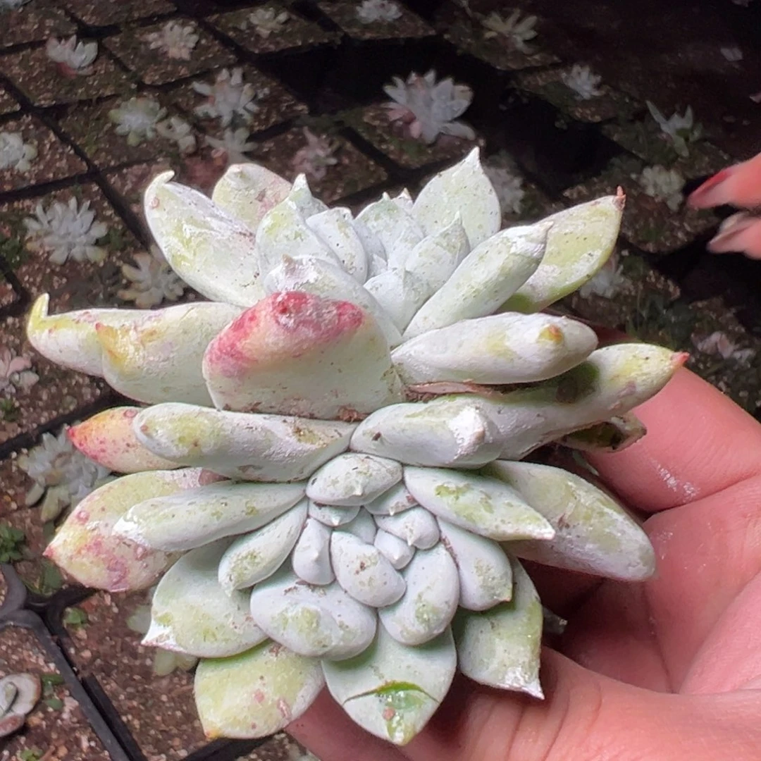 401哈哈哈哈哈哈哈哈哈