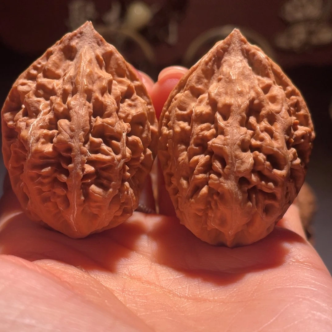 文玩核桃吊坠豆粒珊瑚3