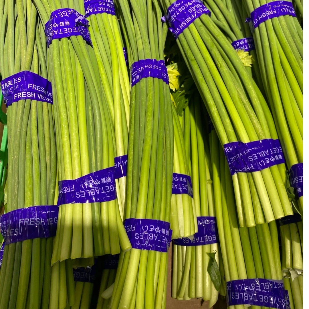 山东蒜薹鲜蒜苔  去头去尾蒜薹