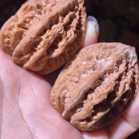 文玩核桃把件东北野生楸子小美107