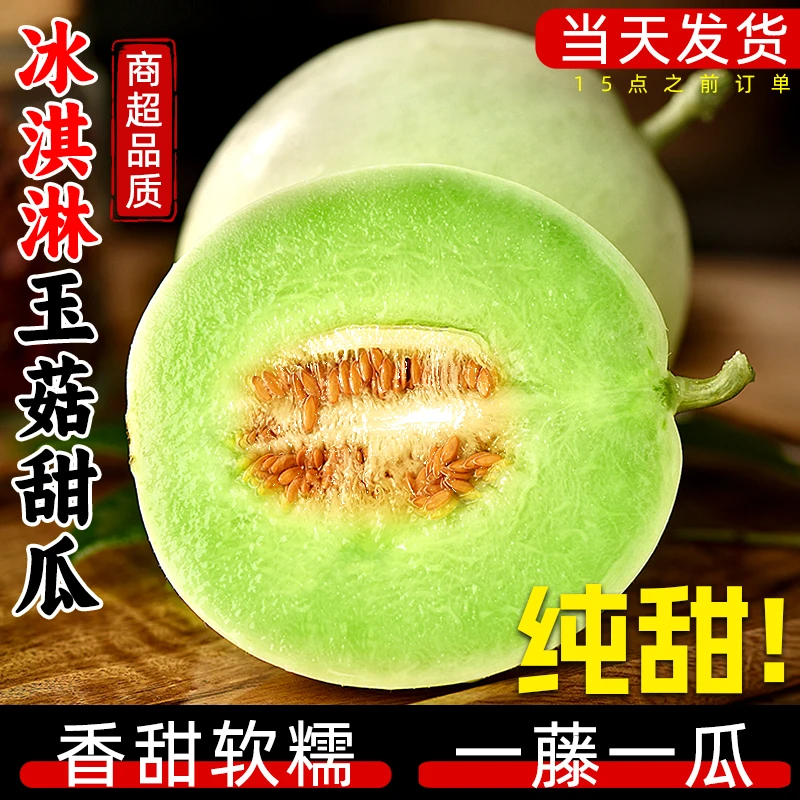 现摘冰淇淋玉菇甜瓜当季新鲜水果香瓜蜜瓜软糯香甜薄皮白瓜
