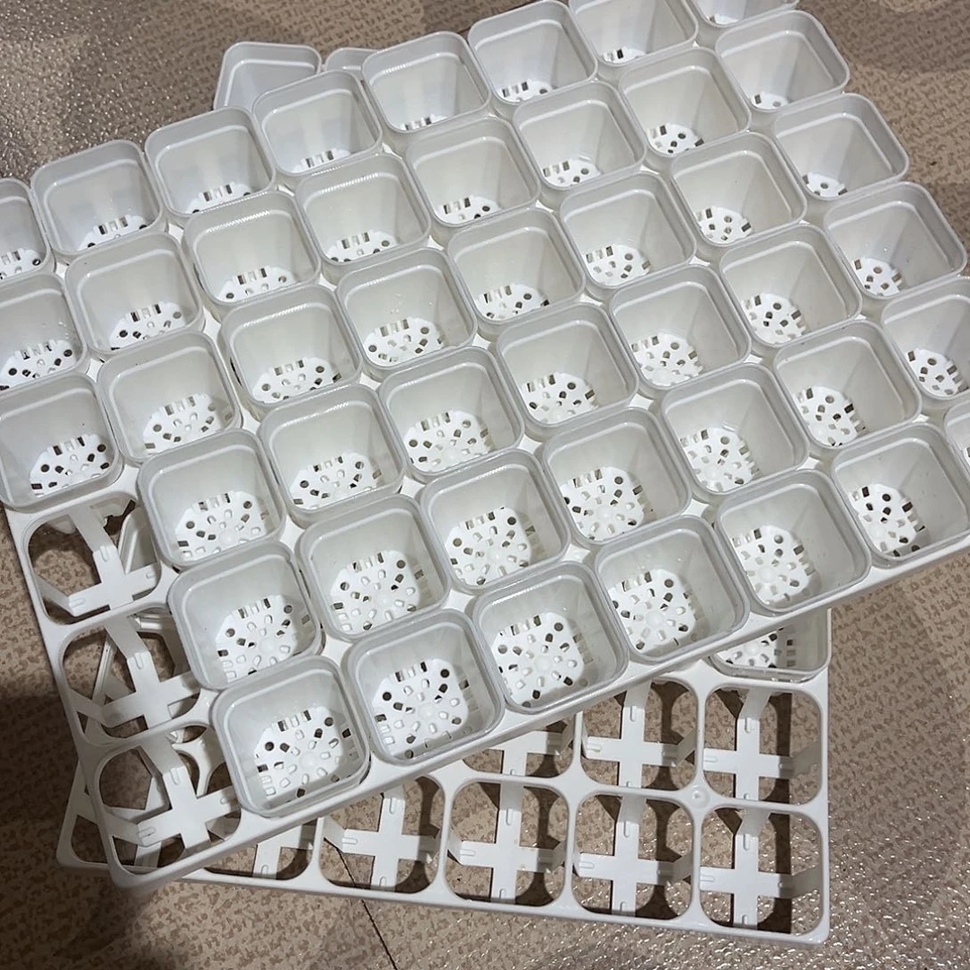 中厚口4高4白盆96个盆带2个拖架