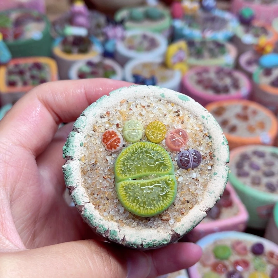 283。8888888888888888