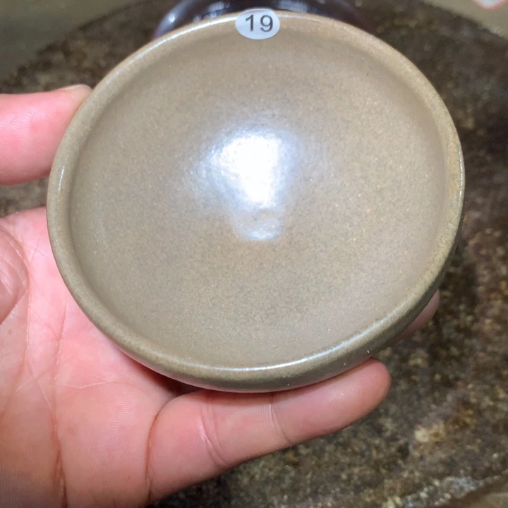 茶盏细看这支公屏上说19