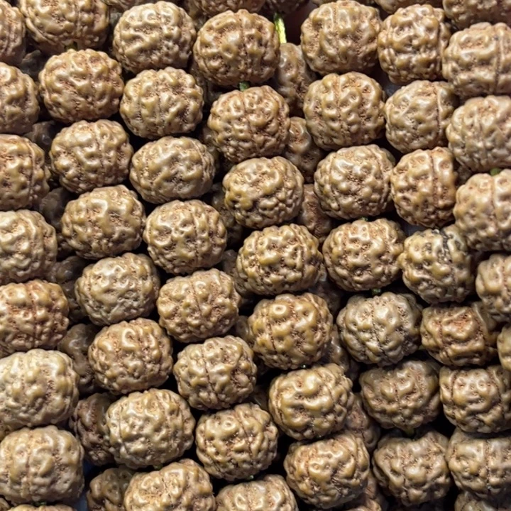 金刚菩提吊坠跳跳龙长串保手持