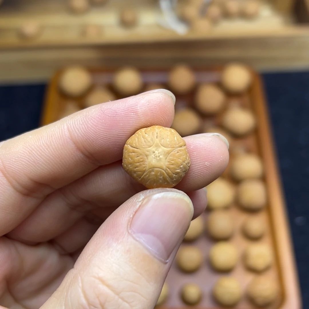 手串凤眼菩提16.9五星上将