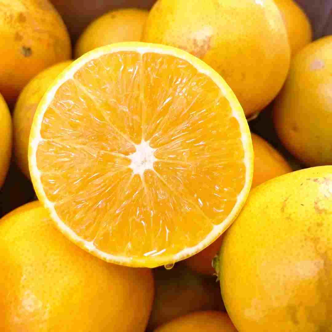 【珍品花斑橙】云南特产玉溪褚冰糖橙哀牢山新鲜水果甜橙超甜花斑果