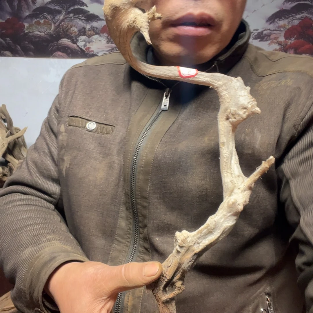 水***想西部山区北太行料