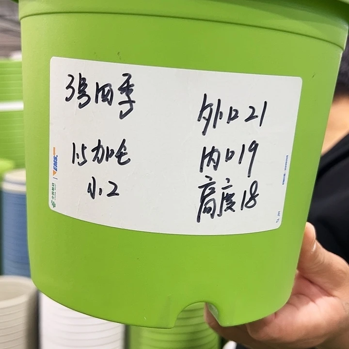 特价3号四季口21高18白色10个无托