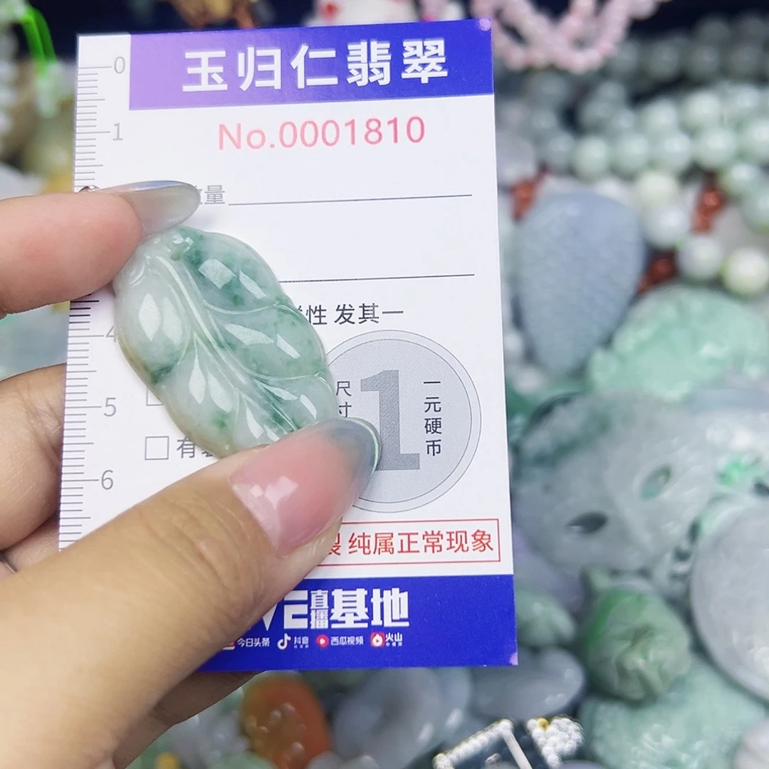 翡翠未镶嵌颈饰111