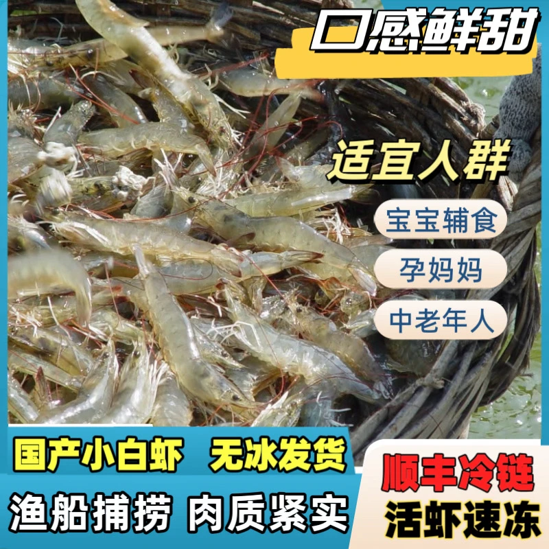 国产海捕小白虾 顺丰冷链 到手6斤共3包 嫌小勿拍