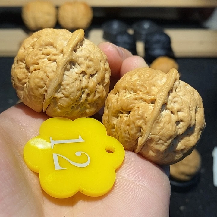 核桃胡**叔卧龙金蟾39核桃尺寸