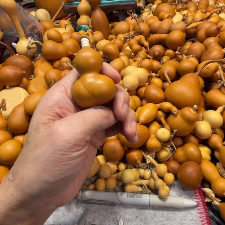 橘*?那个蒟蒻的一把金蟾葫芦就抓了一把金铲葫