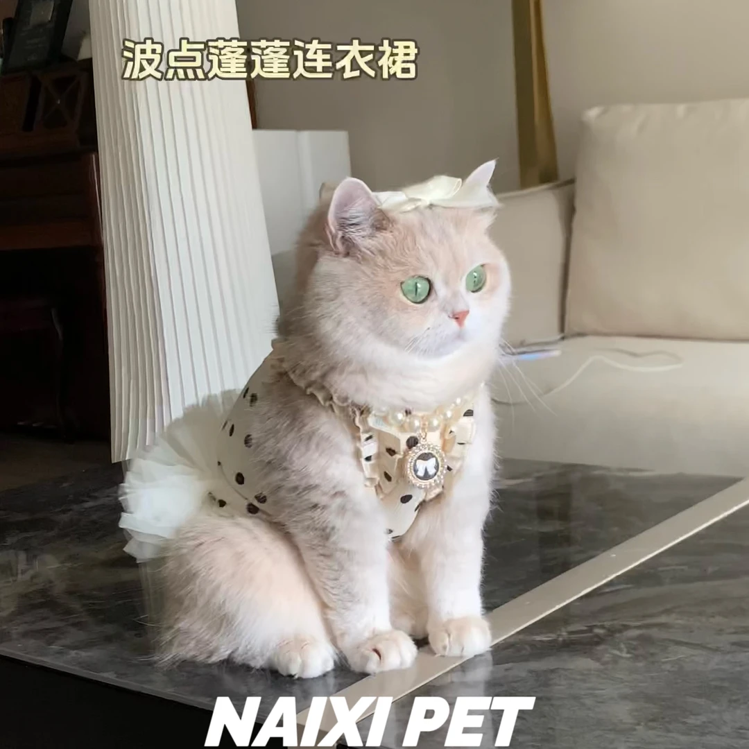 新款宠物公主裙猫咪狗狗背心波点蓬蓬裙公主搭配金渐层比熊布偶猫