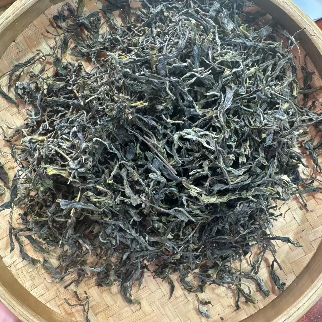 【小刚家的茶】7-5【LC255】2025年邦东三棵树混采单株(晒青毛茶)