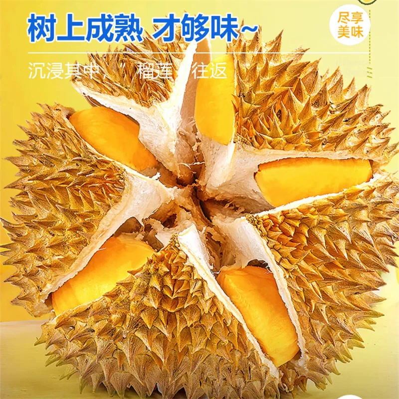【速发顺丰】泰国进口金枕头榴莲整个树上熟液氮带壳榴莲包邮
