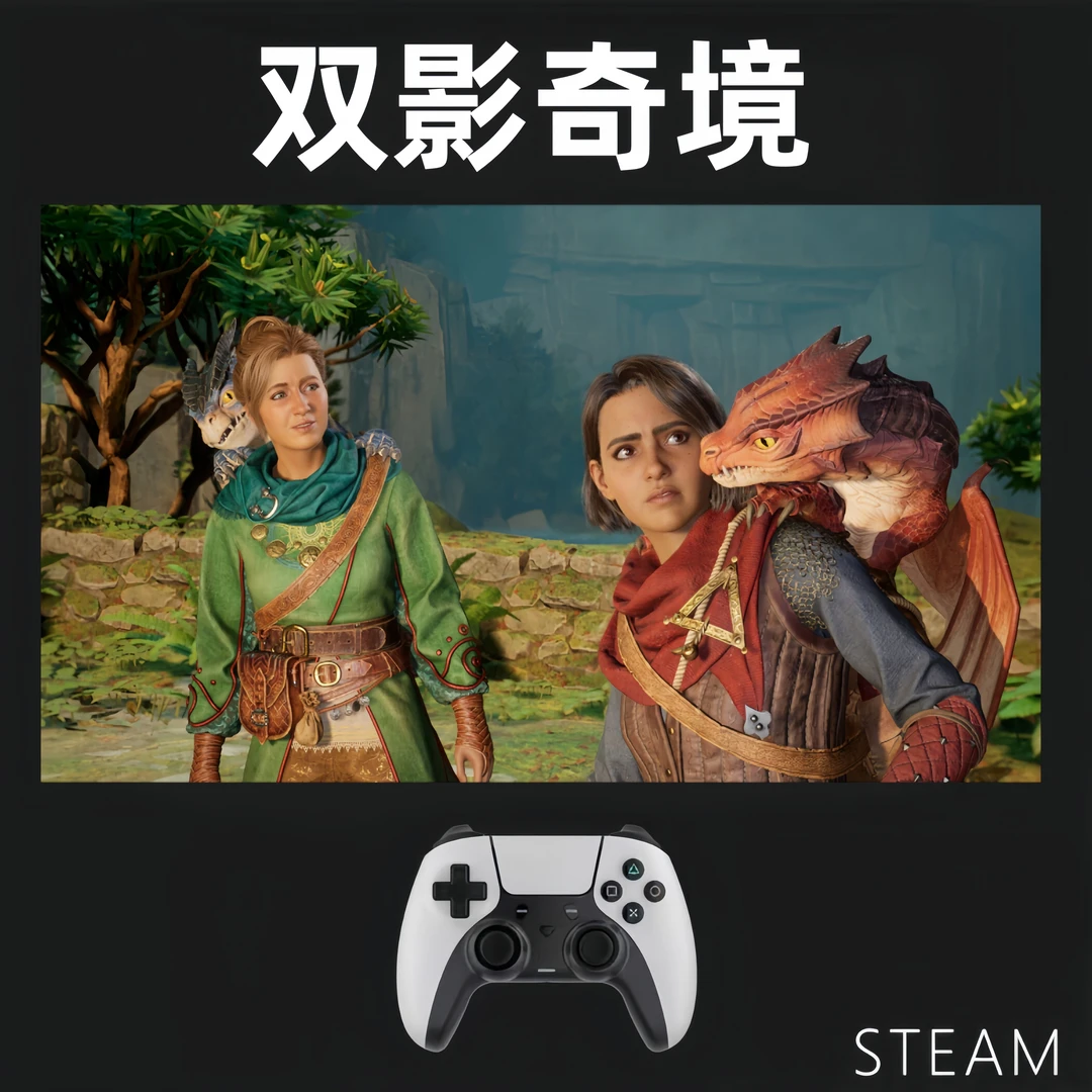 【可联机】双影奇镜入库支持游戏支持 PC无线游戏手柄蓝牙有线双人