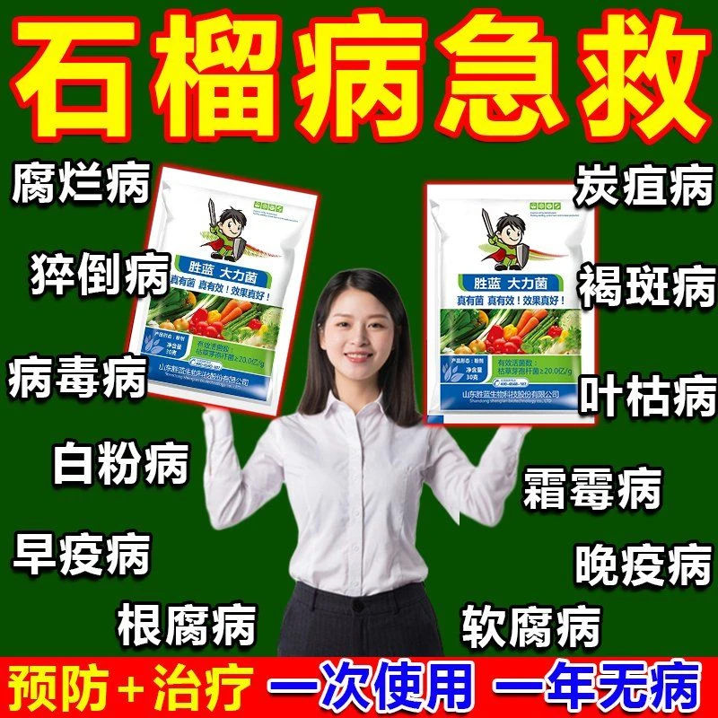 石榴病全管石榴专用干腐病炭疽病褐斑病煤污病黑霉病干枯病