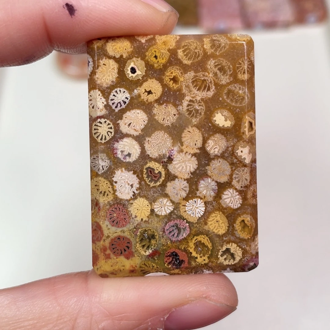 【闪购商品】未镶嵌吊坠(赠链)硅化玉煒****w