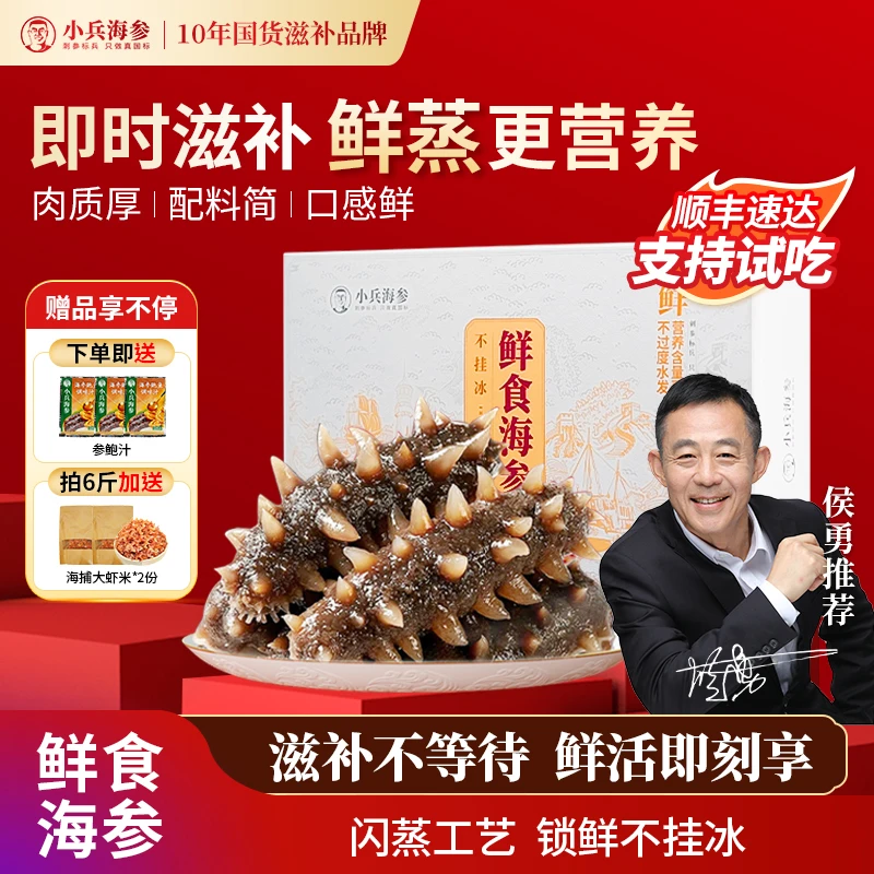 【鲜食】小兵海参7-12头/斤1-6斤化冻正宗大连正宗大连辽刺参