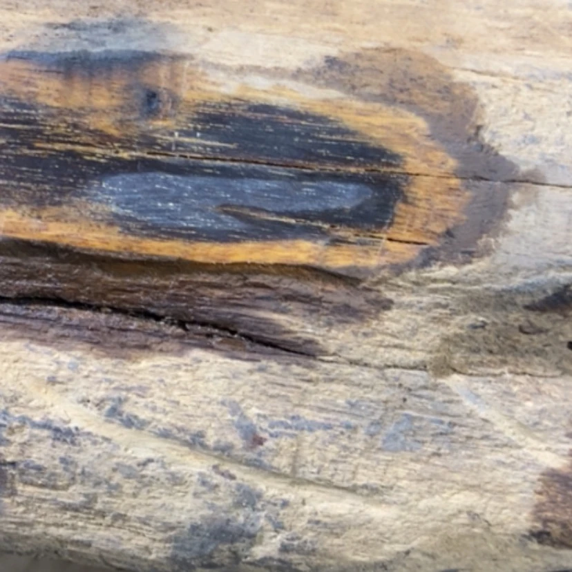 【闪购商品】贡木其他溏*爸私人订制