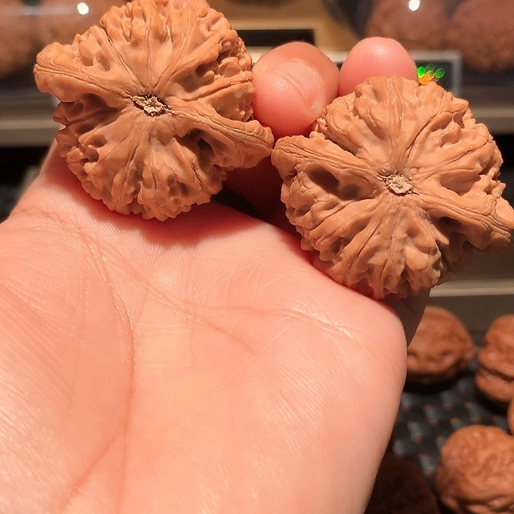 小*壳文玩核桃把件水龙