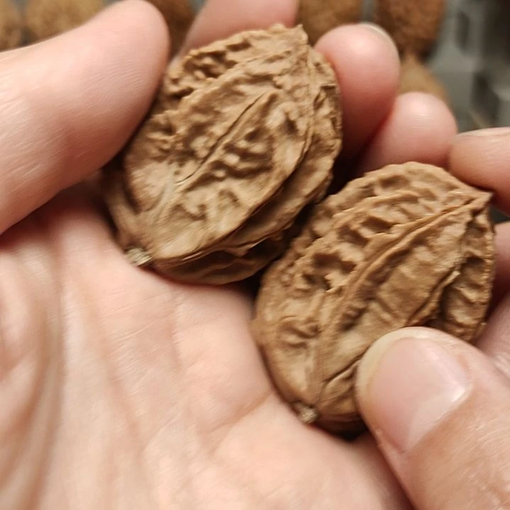 文玩核桃吊坠带彩半壁江山2