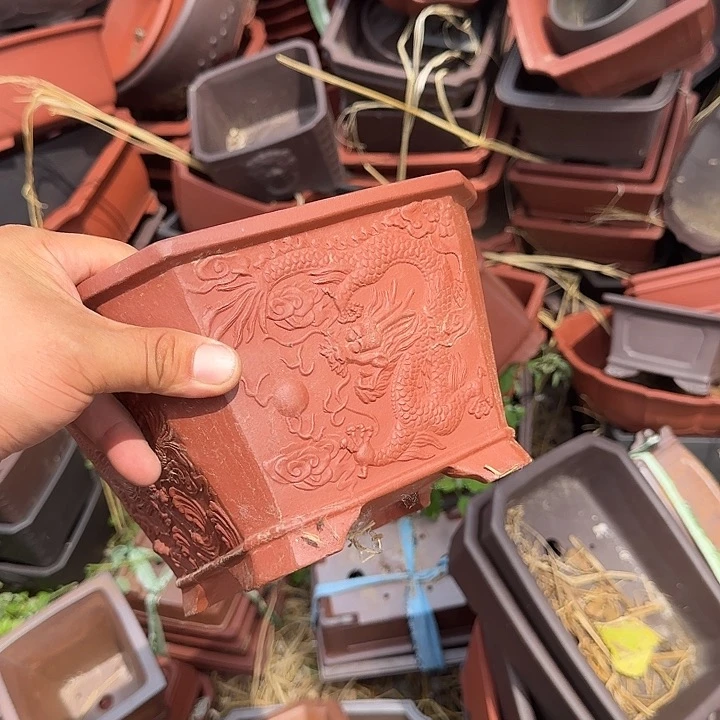 是一个不知名作家与