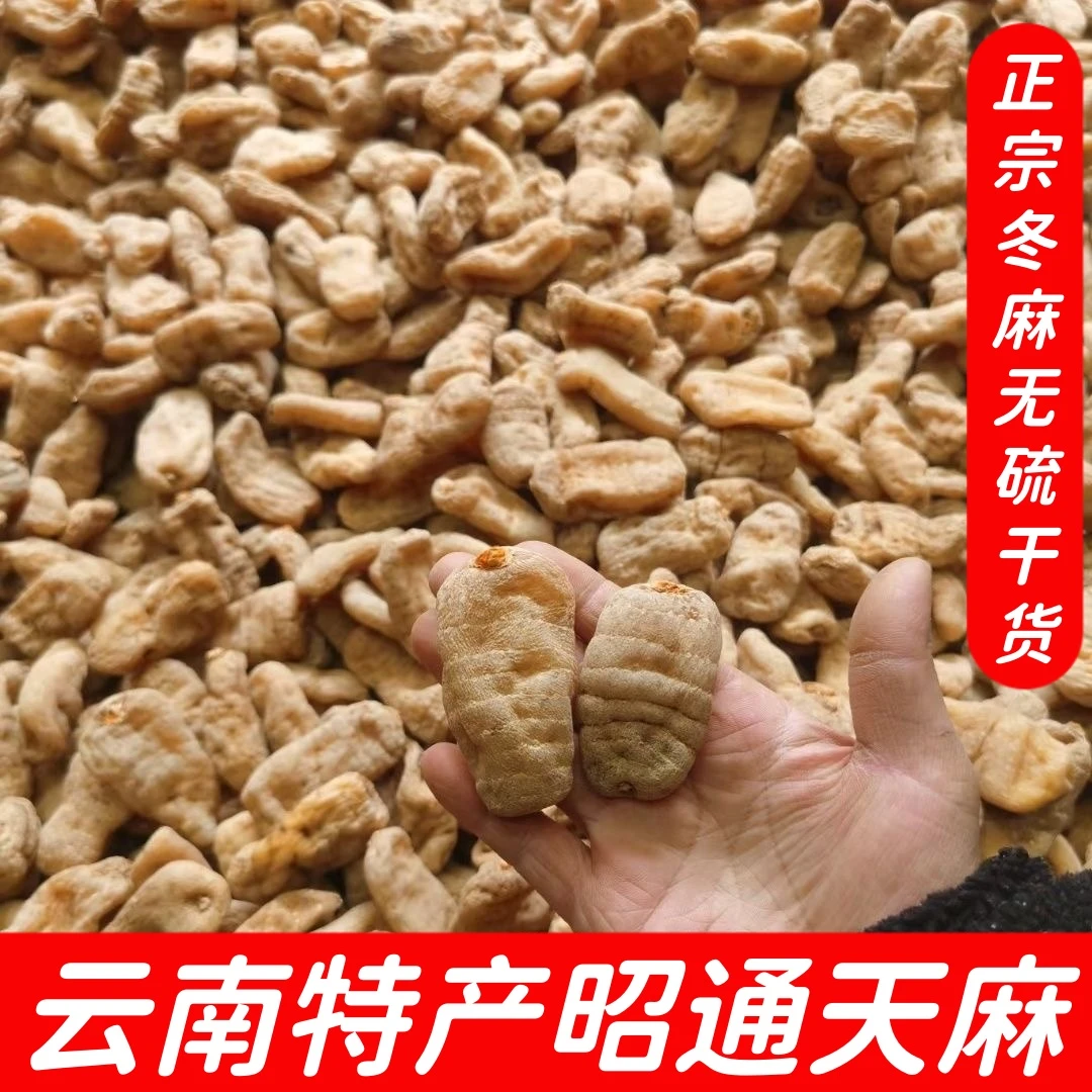 【昭通天麻】正宗云南小草坝天麻正品高山天麻片天麻粉仿野生乌天麻