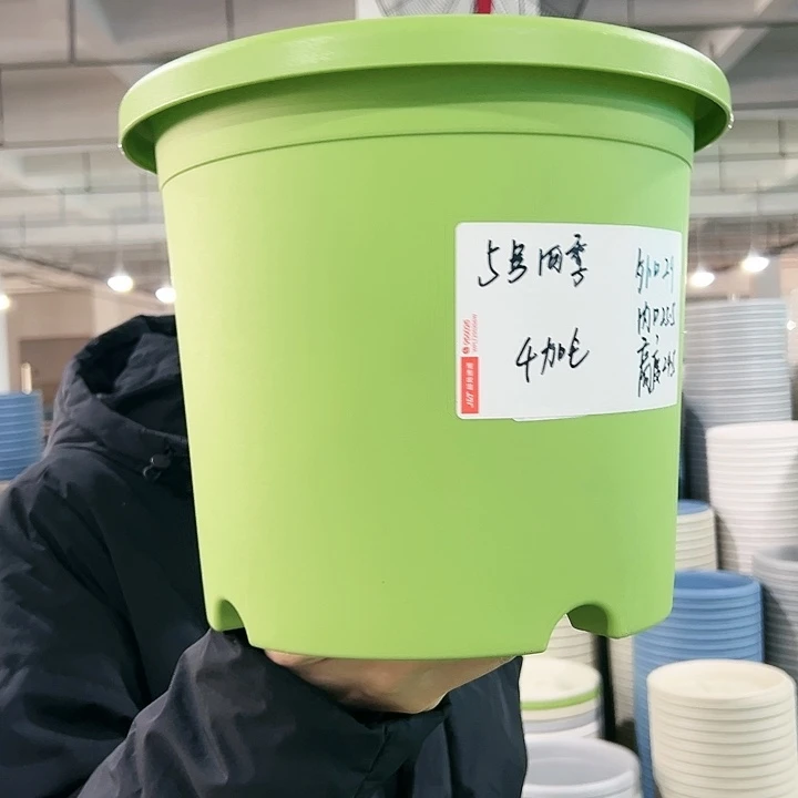 特价5号四季口29高24.5果绿无托5只