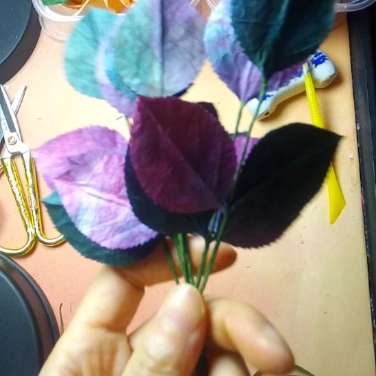 玫瑰花叶子红绿十组