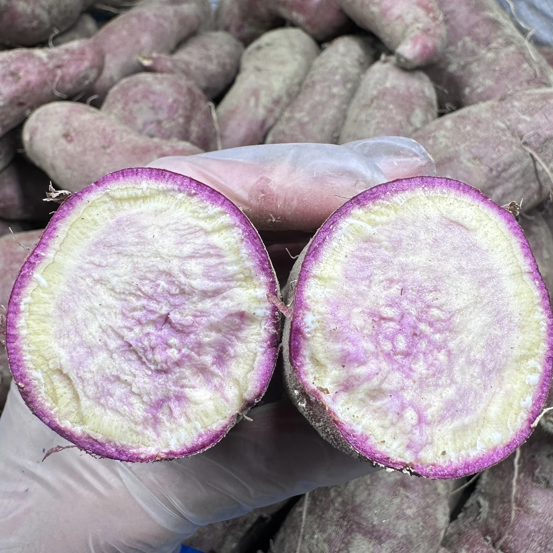 南沙一点红番薯 隔水蒸软糯