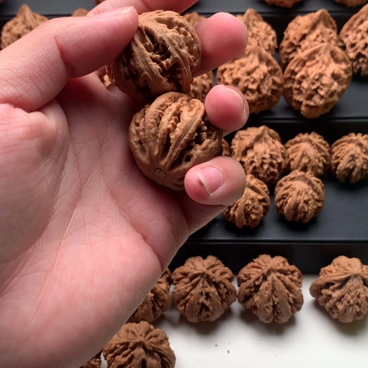 其他核桃璐*-秦岭森林公园等景点和