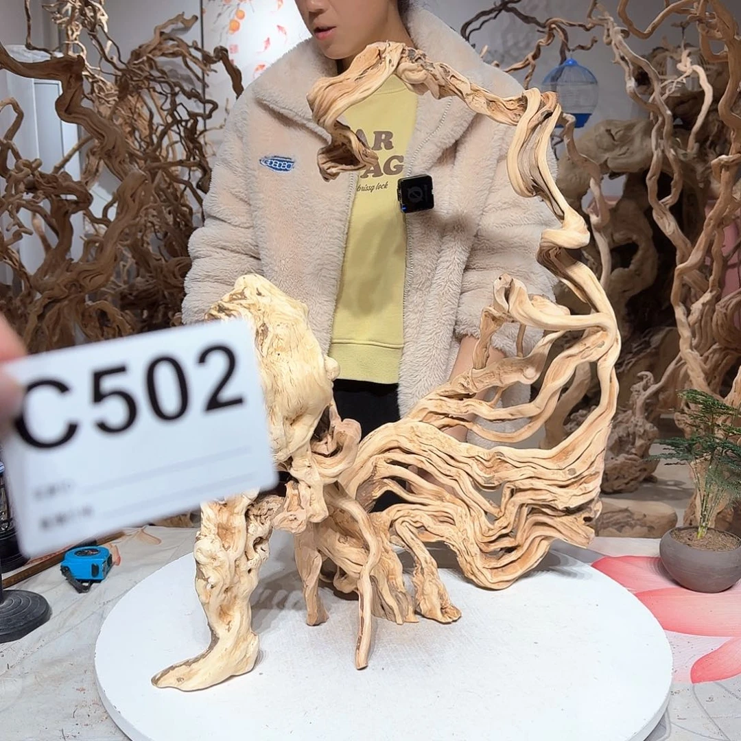 风车木（黑檀木）远**友