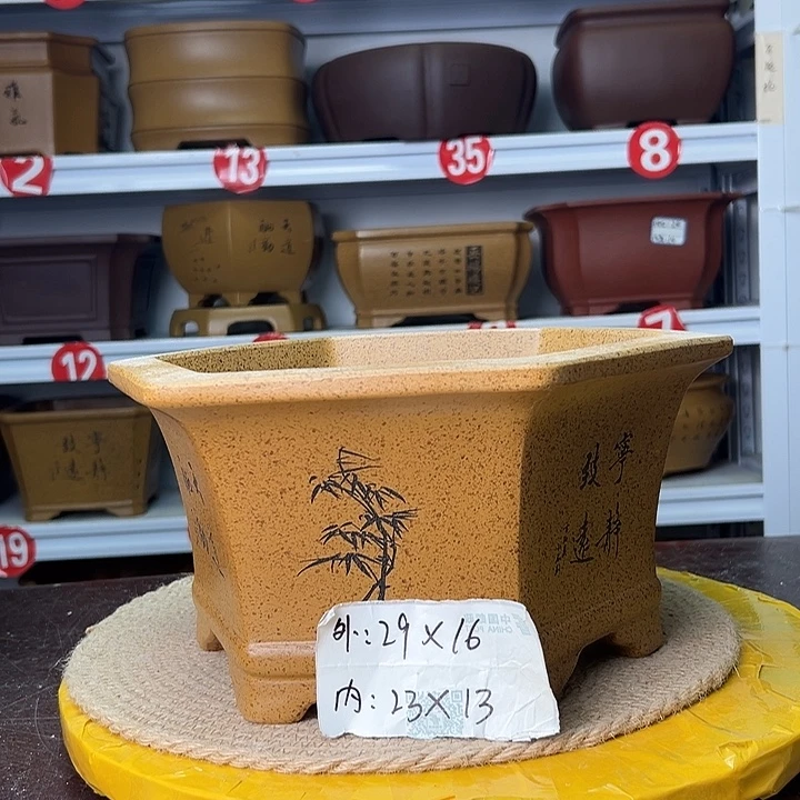 花盆紫砂蛇年大吉