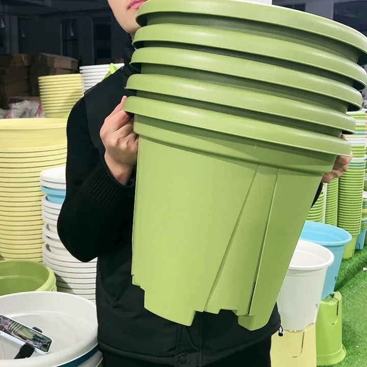 清仓青山口40高34果绿色5只无托