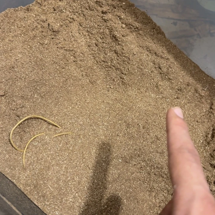 沉香沉香碎屑绿绮楠沉香500克