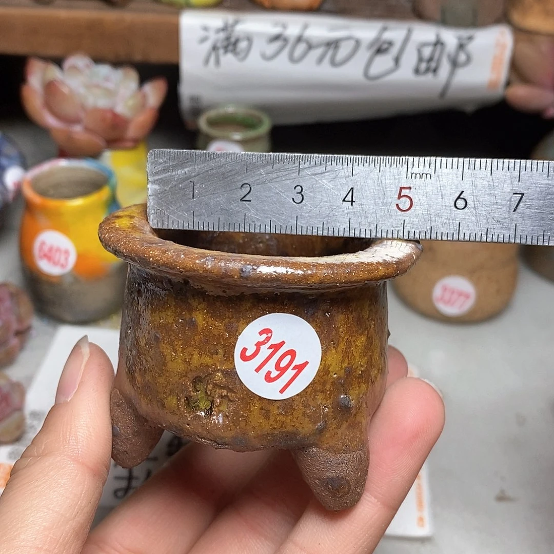红陶拍5送一个小