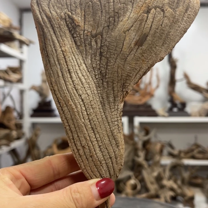 泰***阳柏木（崖柏）太行崖柏陈化香料