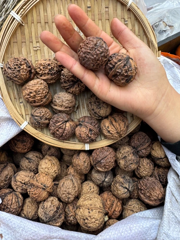 老树野核桃/云南高山原生态晒干核桃